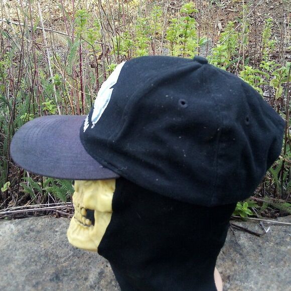 Vintage North Carolina Tar Heels Two Tone Snap Back Hat - Picture 3 of 7